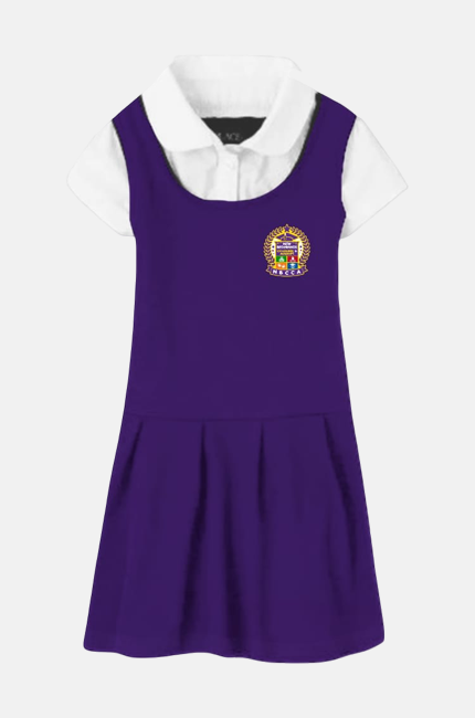 Preschool Purple Dress
